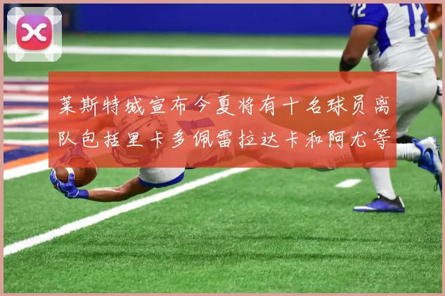莱斯特城宣布今夏将有十名球员离队包括里卡多佩雷拉达卡和阿尤等人