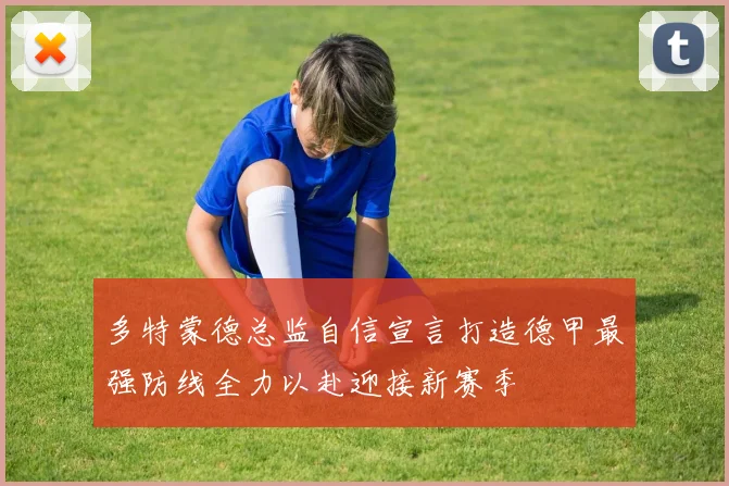 多特蒙德总监自信宣言打造德甲最强防线全力以赴迎接新赛季